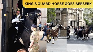 KING’S GUARD HORSE GOES BERSERK AS IT SEES HUNDREDS OF HORSES RUNNING ACROSS!