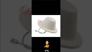 Various Types Of Antennas