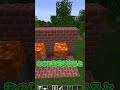 サボテンの秘密 #マイクラ
