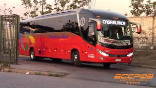 Comil Invictus 1050 Scania Pullman Bus