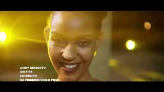 Andy Bumuntu - On Fire (Extended) (DJ Vicknick Video Pool)