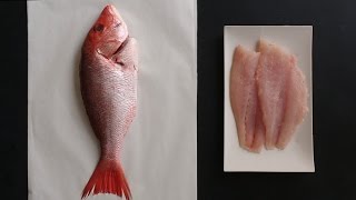 How to Fillet a Whole Fish Like a Pro - Kitchen Conundrums with Thomas Joseph