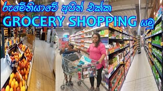 රුමේනියාවේ අපිත් එක්ක Grocery shopping යමු / Life in Romania / Life with Elee