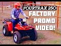 1985 Honda Fourtrax TRX250 - Original Promo Video!