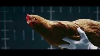 Mercedes Benz MAGIC BODY CONTROL commercial Chicken HD