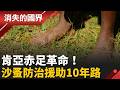 肯亞赤足革命！ 沙蚤防治援助10年路 手心向上等白人轉為靠雙手學自立｜李文儀主持｜【消失的國界PART1】20260628｜三立新聞