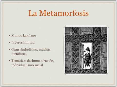 Video: Metamorfosis Atípica