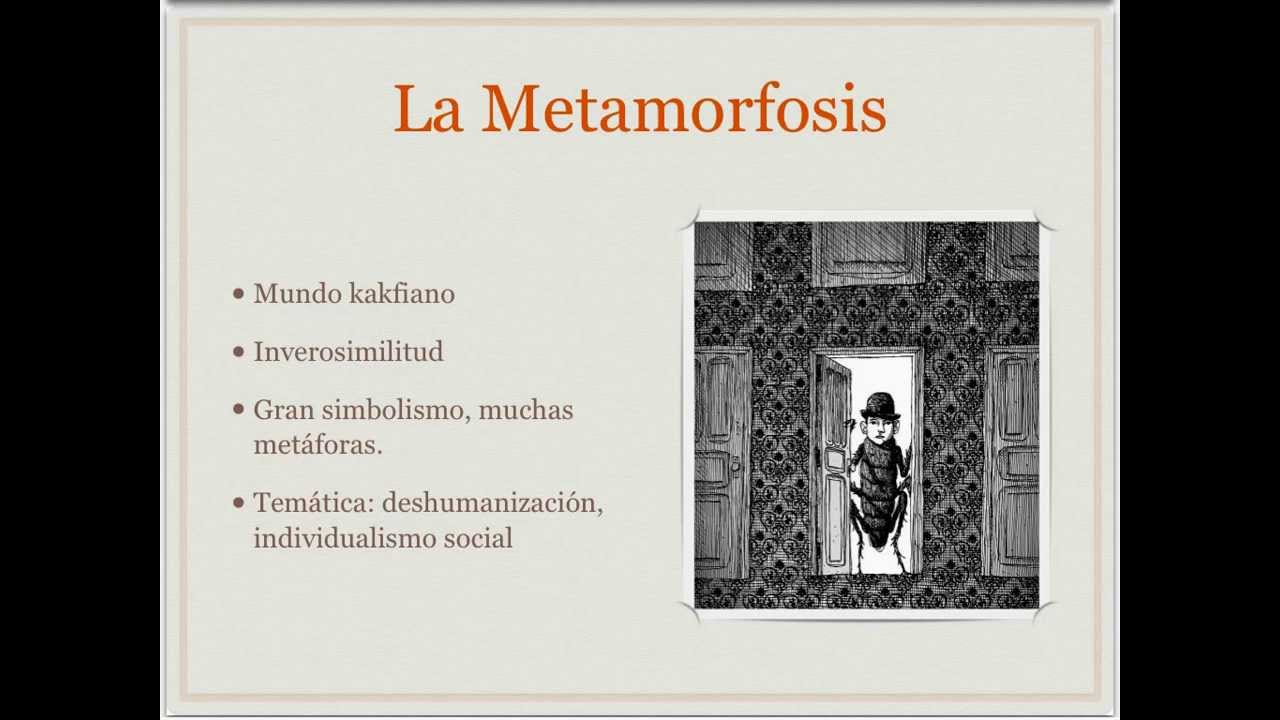 Explicacion De La Metamorfosis De Kafka Youtube