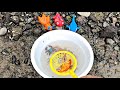 Finding Koi Fish, Betta Fish, and Marine Toys Crab, Starfish, Whale, Sharks, Part133