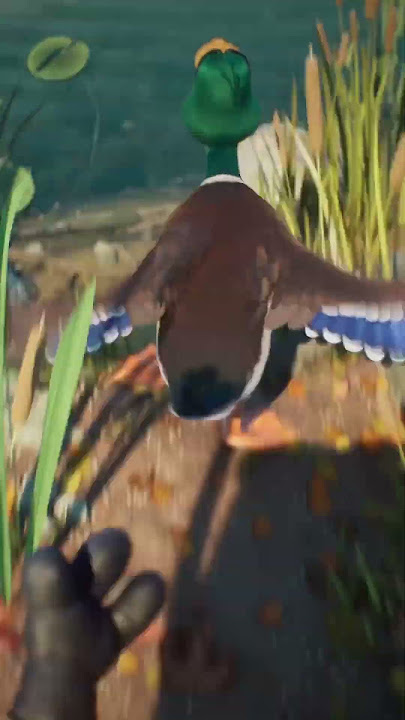 Chasing Illumination’s new guy 🦆 #MigrationMovie #Minions #Illumination #Shorts