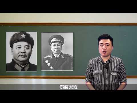 王震对徐海东的儿子说：你爸爸有事尽管找我，我不怕牵连