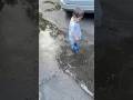 #baby#shorts#rain#iran