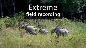 Field recording adventures in the rainforest 1/4