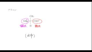 ｢アミノ酸とタンパク質｣講義２：高校化学解説講義