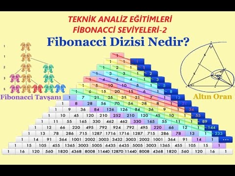 vevobahis Fibonacci Stratejilerinin Kısa Tarihi