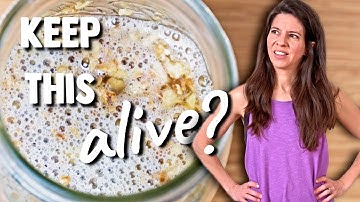 Maintain A Ginger Bug For Perfect Probiotic Soda