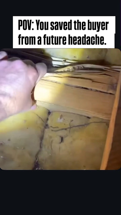 Home Inspection #homeinspector #homeinspection #termites #pestcontrol #oldhouse #renovation