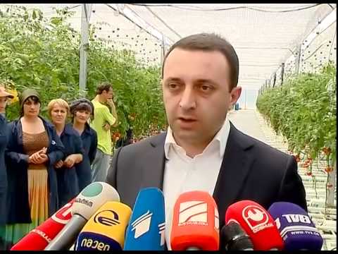 ახალი სასათბურე მეურნეობა ცაიშში