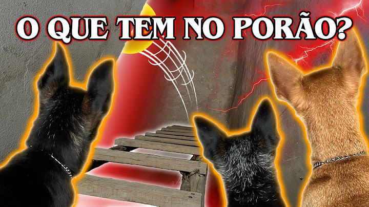 O QUE TEM NO PORÃO? COMPILADO PEQUENOS PRÍNCIPES