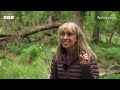 How Do We Film Nests on Springwatch?