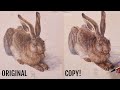Recreating Albrecht Dürer's Young Hare in Watercolor and Gouache