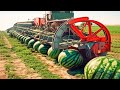 Farmers Use Farming Machines You&#39;ve Never Seen - Incredible Ingenious Agriculture Inventions ▶2