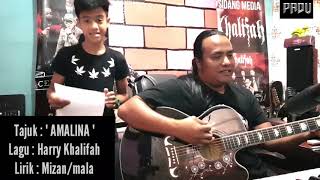 Video thumbnail of "Lagu baru utk MIZAN ciptaan HARRY KHALIFAH yg berjudul " AMALINA ""