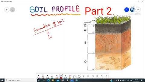 Part 2 . Soil profile or soil Horizons after it