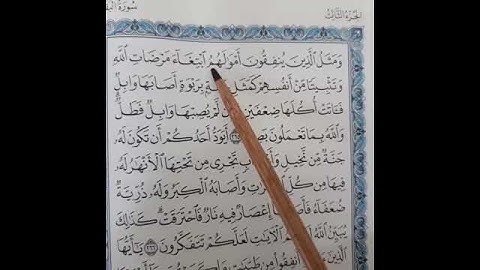 1 مقاطع لتصحيح التلاوة •