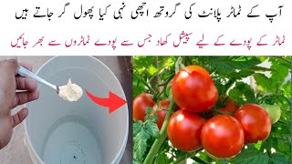 Special Fertilizer for Tomato plant | World Best Fertilizer
