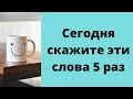 Сегодня скажите эти слова 5 раз | Тайна Жрицы |