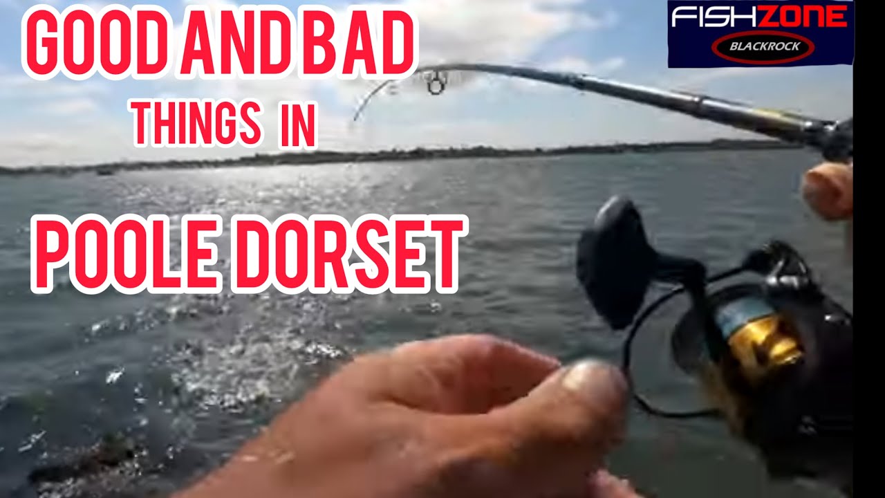 BASS FISHING POOLE HARBOUR ON LURES – pure filth left behind –