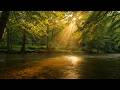 Soothing Bliss Study Focus Relax Sleep Audio for Mental Medicine 📚🧘