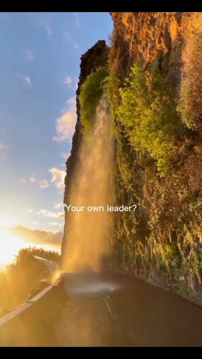 Stand Tall, Move Forward | Unstoppable Drive to Succeed #motivation #standtall #inspiration
