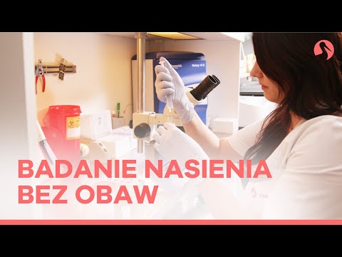 Badanie nasienia – jak wygląda?