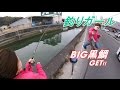【釣りガール💕】BIG見えチヌを釣る★ 3月 釣りガール企画第2弾