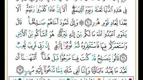 ختمة تلاوة لمصحف التجويد بصوت القارئ محمد حبش الصفحة رقم 228