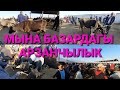 Мына МАЛ АРЗАН ЭТ КЫМБАТ неге ?🤔 Халмион / Эркек Ургачы Торпок, СААН УЙЛАР