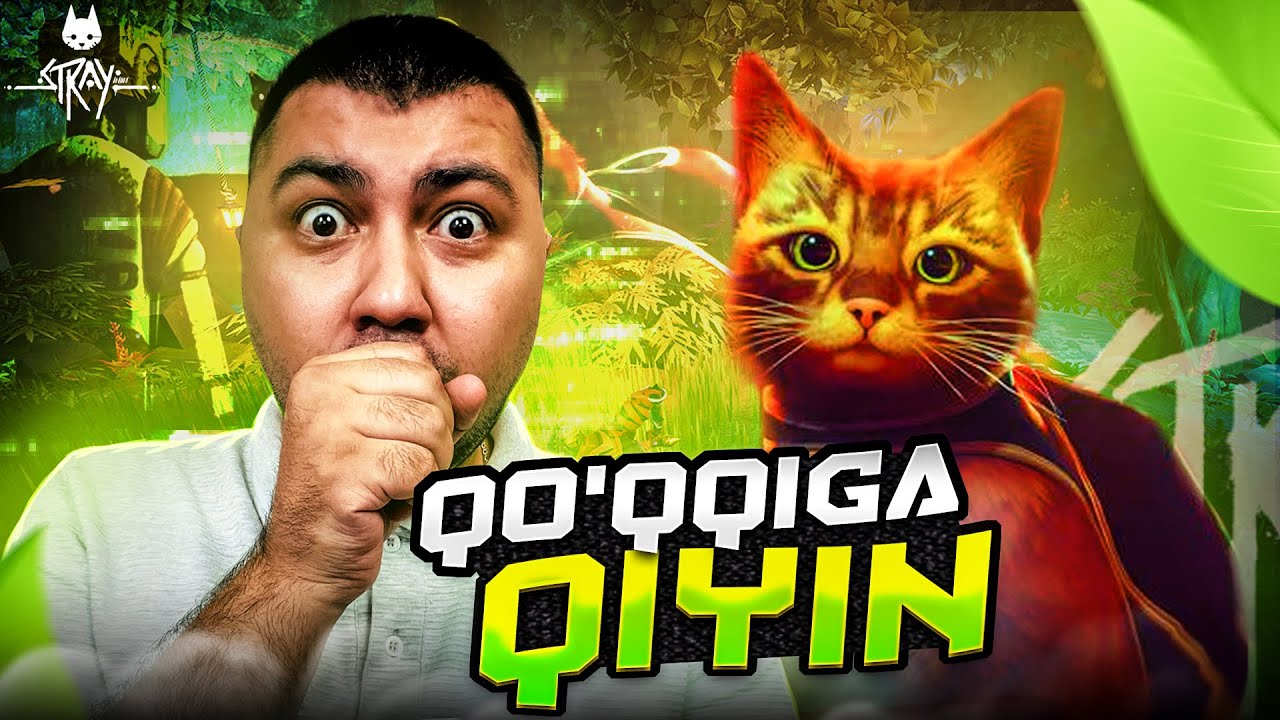 STRAY / QO'QQIGA QIYIN #4 / UZBEKCHA LETSPLAY