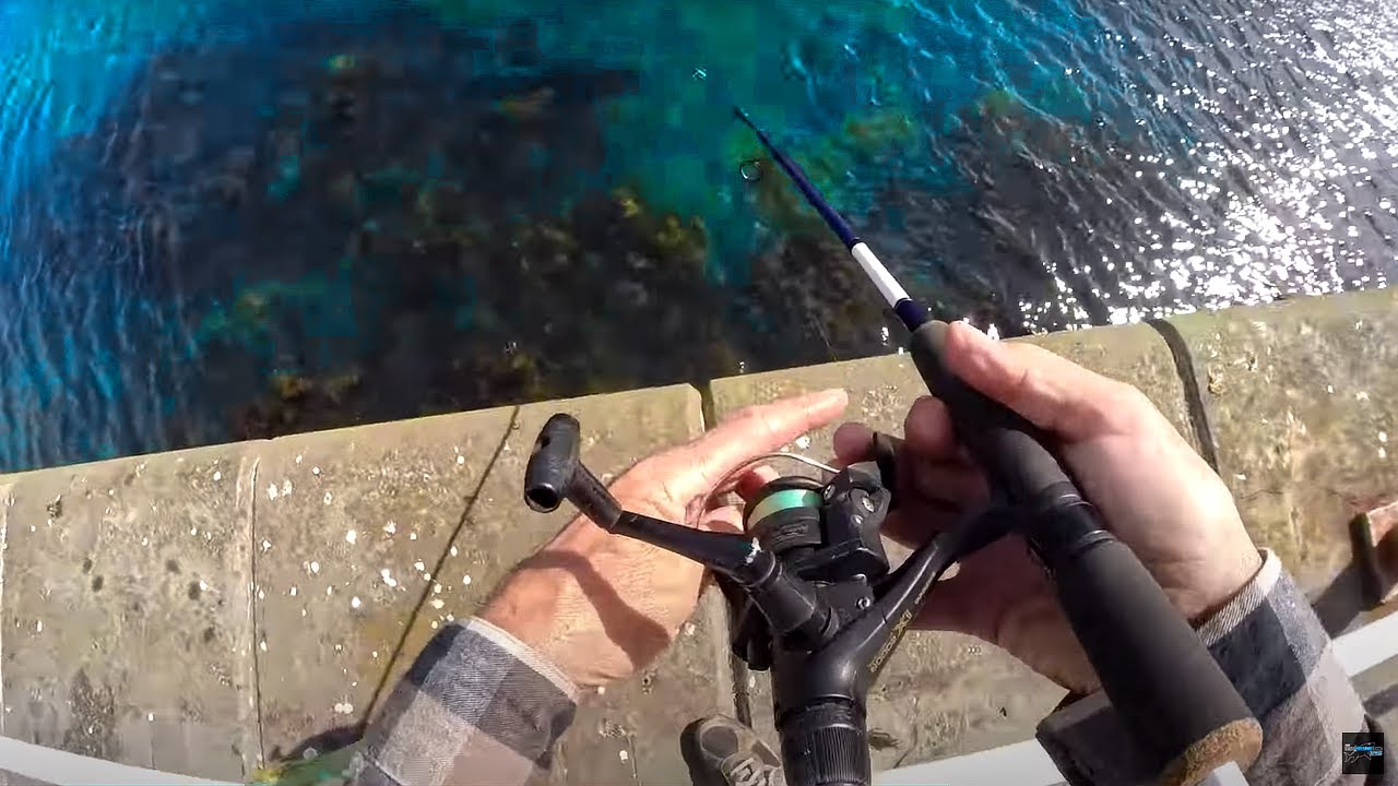 Fishing from a Pier with Light Tackle YouTube