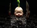 The Human-Plant Lifecycle