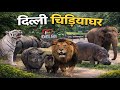 National Zoological Park Delhi Full Tour 2026 | दिल्ली चिड़ियाघर | Delhi Zoo Complete Guide |