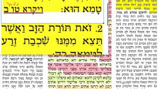 הדף היומי מסכת נידה דף לה Daf yomi Niddah daf 35