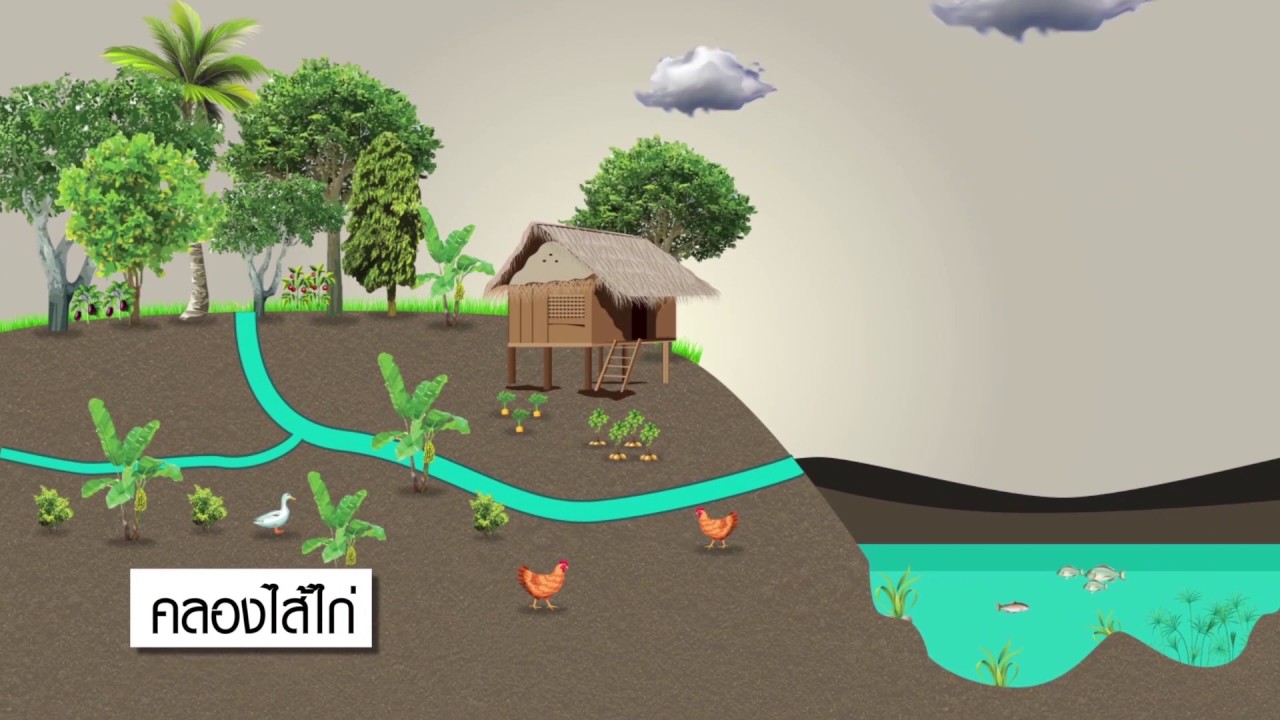 เกษตรทฤษฎีใหม่(8/8): โคก หนอง นา โมเดลเพื่อการจัดการน้ำอย่างยั่งยืน