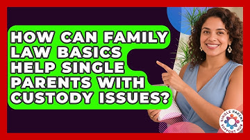 How Can Family Law Basics Help Single Parents With Custody Issues? | Single Parent Support Hub News