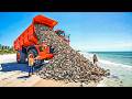 Florida's Most Brilliant Accident: Shells That Saved an Entire Ecosystem