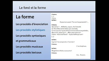 Quelles sont les formes de littérature ?