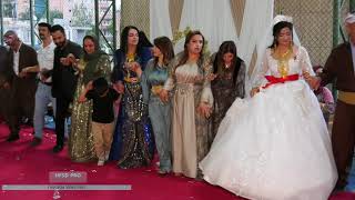 Hakkari Düğünleri -Koma Deng- Ci̇han & Serdar Kaplan Ailesinin Mutlu Günü Kurdish Weeding Hd2022
