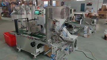 Automatic Straw Feeding & Multi-Straw Packing Machine