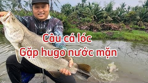 Câu Cá Lóc Lure Cá Chẽm Ao Thiên Nhiên Gặp Cá Săn Mồi Máy Abugacia orra Cần BULAVA PREMIUM Đại Ngáo